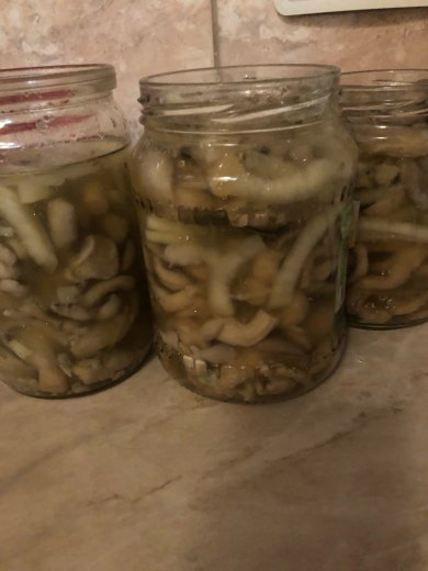 Маринованные вешенки - Шаг 6