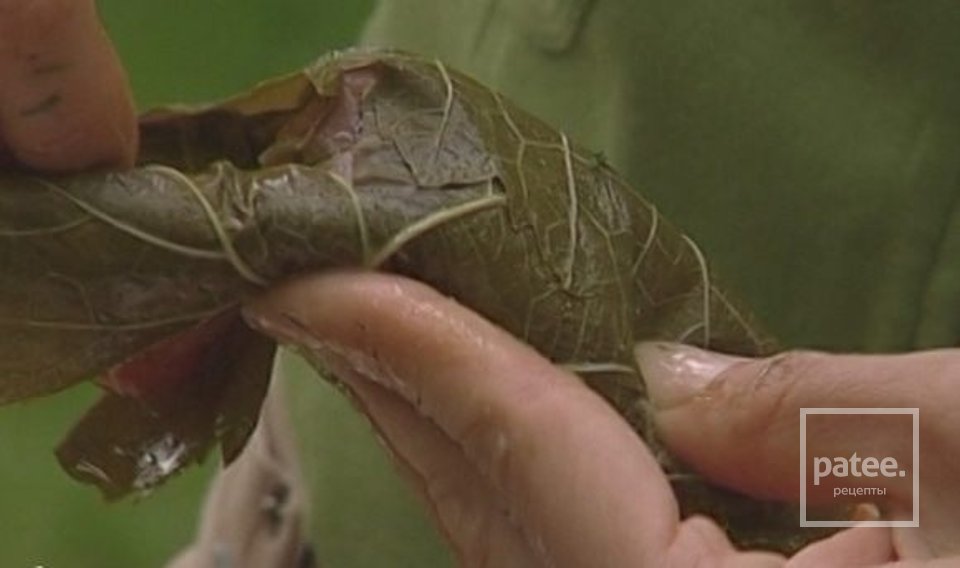 Семга в виноградных листьях на гриле - Шаг 7