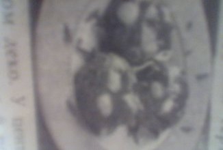 Гнізда з помідорів