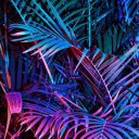 Эльза Озерова