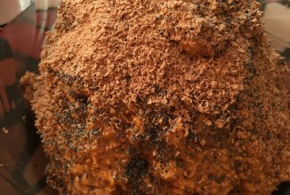 муравейник