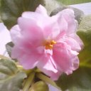 Валентина Кваснюк