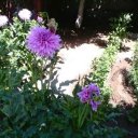 Юлия Иванова