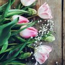 Валентина Рознатовская