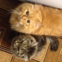 Александр Данилин