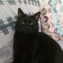 Галина Лютина