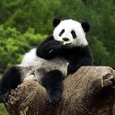 Натали Рабий