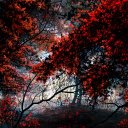 Ксения Парфеевец