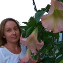 Галинка Іванко