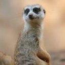 Олександр Лев