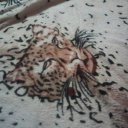 Елена Щербатюк Елена Щербатюк