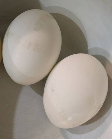 Салат из баклажан "Грибочки" - Шаг 2