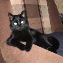 Анастасия Казанцева(Ващенко)