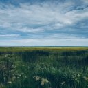 Светлана Васильева