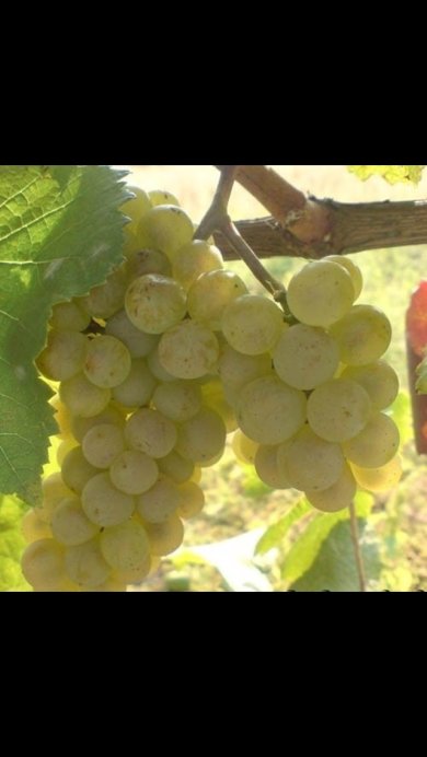 Салат ягодный - Шаг 4