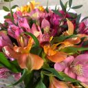 Анастасия Бибина