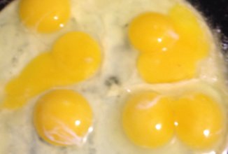 Омлет облочко