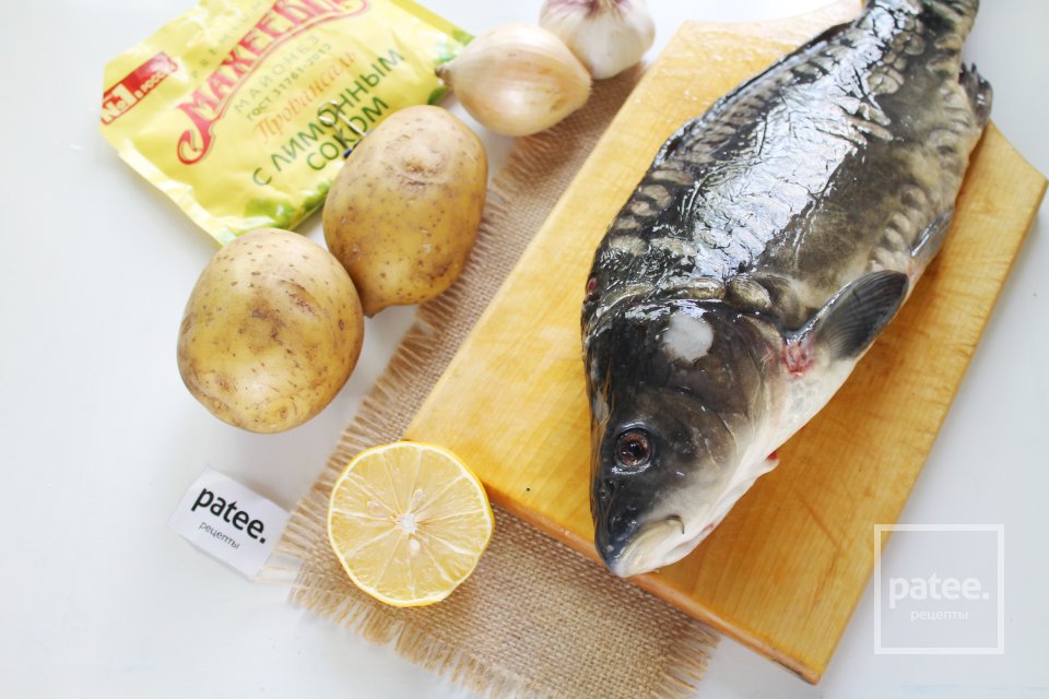 Карп фаршированный луком в духовке - Шаг 1