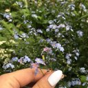 Регина Мударисова