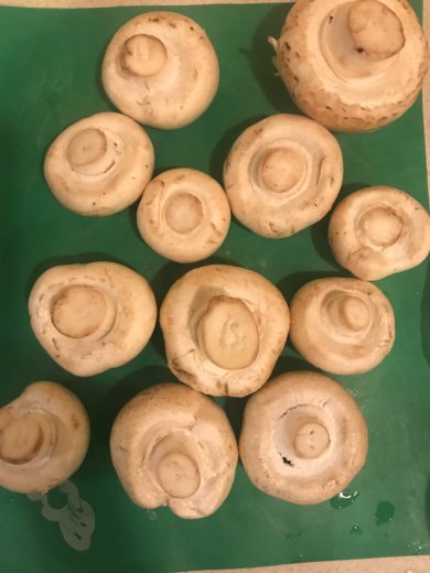 Запечённые шампиньоны с курицей , 🧀 сыром и грецкими орехами ) - Шаг 5