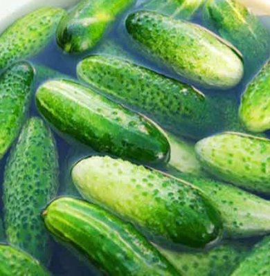 🥒 Маринованные огурцы 🥒 - Шаг 1
