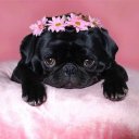 Talya Kosmak Talya Kosmak