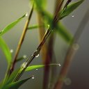 Анастасия Тулаева