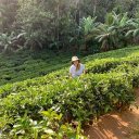 Валентина Чуприна