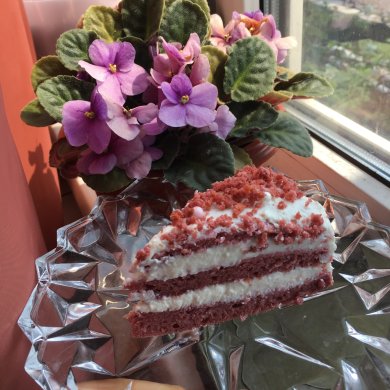 торт «красный бархат»