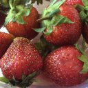 Светлана Павловец