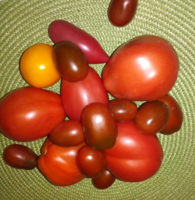 Помидоры замороженные на зиму - Шаг 1