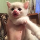 Настасья  Олеговна