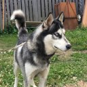 Дмитрий Гурьев