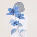 Анастасія Худик