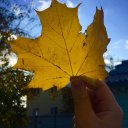 Иван Овчинников