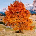 Хвесько Маряна