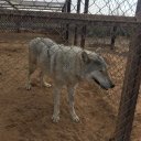 Сергей Иоаннидис