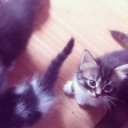 Елизавета Матвеева