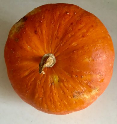 Тыква фаршированная говядиной и булугуром - Шаг 1