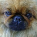 Марія Хлопець