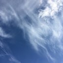 Маргарита Илюшина