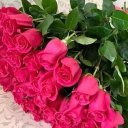 Елена Сороквашіна