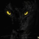 Николай Трегуб