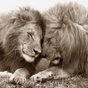 Екатерина Бугакова