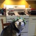 Семён Белоголов