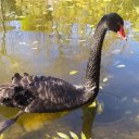 сергей матковский сергей матковский