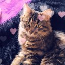 Анна Мельник