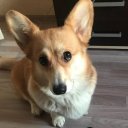 Дарья Демчук