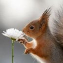 Светлана Козлова