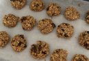 ПП овсяное печенье с шоколадом